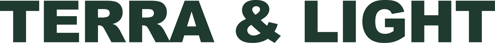 Footer Logo